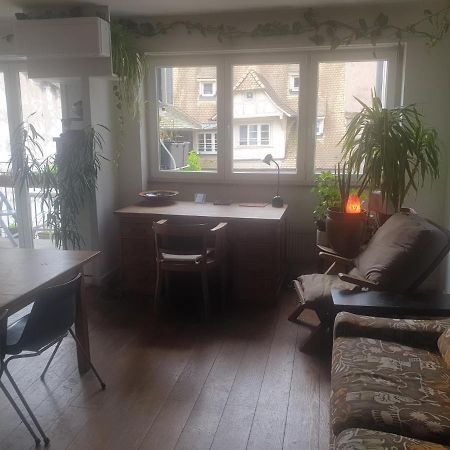 La Puisatiere 80 M2 Apartment Страсбург Екстериор снимка