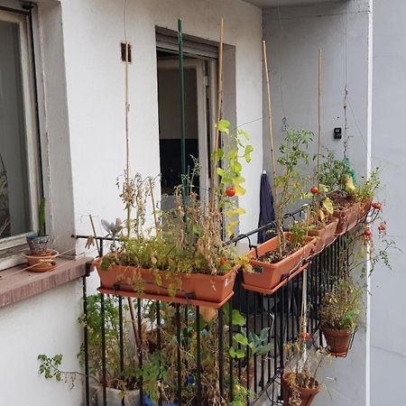 La Puisatiere 80 M2 Apartment Страсбург Екстериор снимка