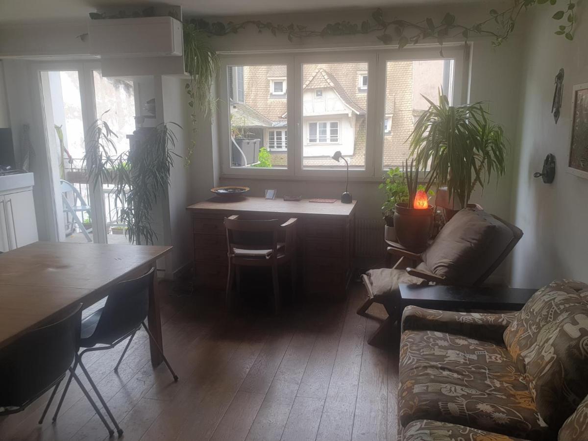 La Puisatiere 80 M2 Apartment Страсбург Екстериор снимка