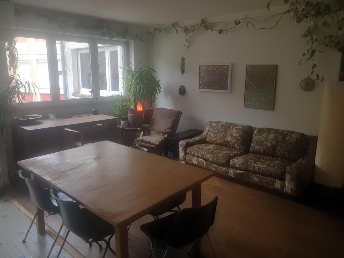 La Puisatiere 80 M2 Apartment Страсбург Екстериор снимка