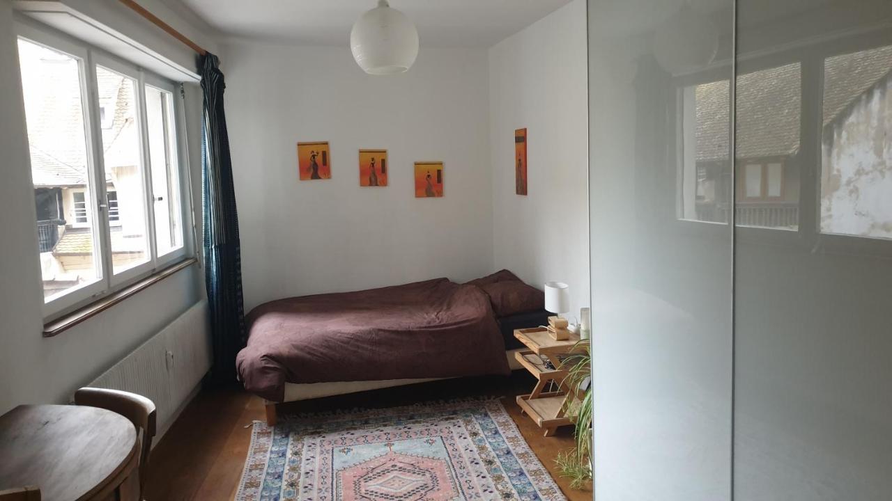 La Puisatiere 80 M2 Apartment Страсбург Екстериор снимка