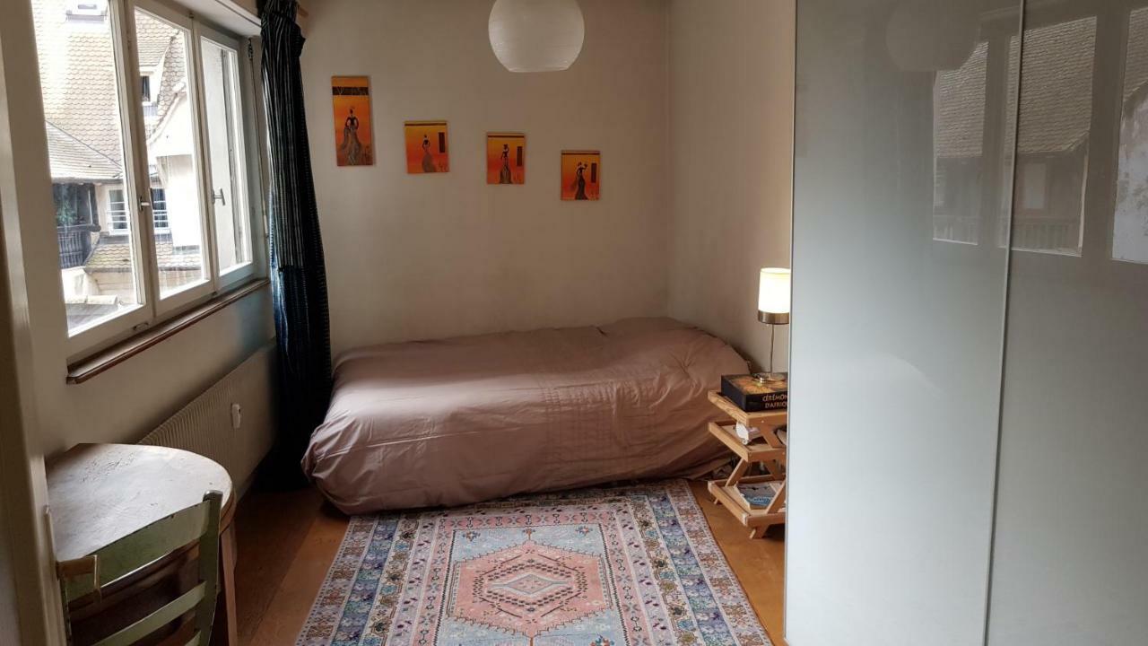 La Puisatiere 80 M2 Apartment Страсбург Екстериор снимка